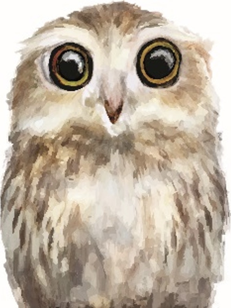 eule